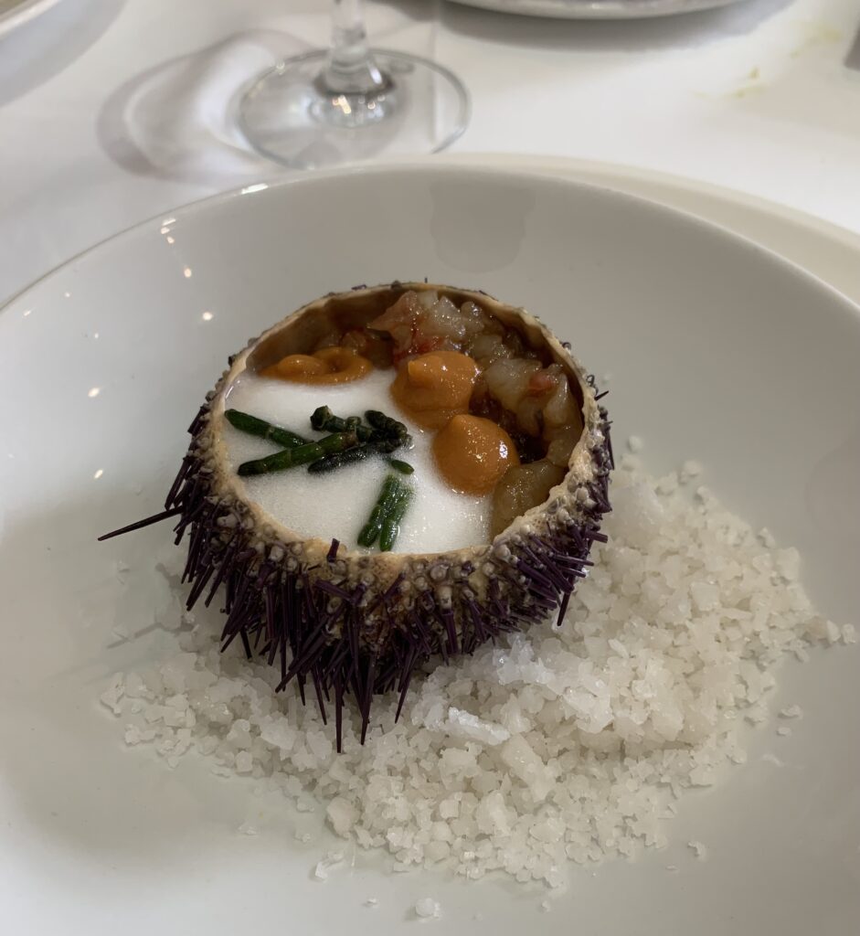 Erizo de mar sobre un plato blanco y sobre sal gorda con ingredientes visibles, aspecto delicioso